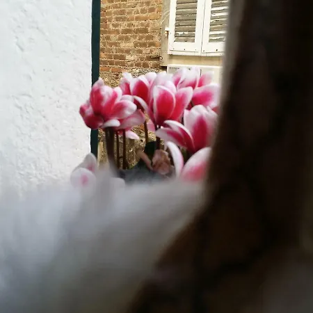 Apartamento Casa Del Campanile